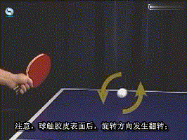 乒乓球打法与技术图示，乒乓球的入门精华