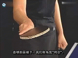 乒乓球打法与技术图示，乒乓球的入门精华