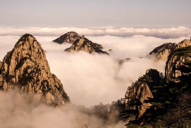 黄山毛峰是绿茶还是什么茶，黄山毛峰名山名茶名天下