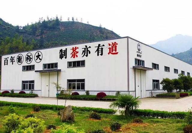 黄山毛峰是绿茶还是什么茶，黄山毛峰名山名茶名天下