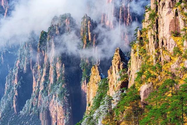 黄山毛峰是绿茶还是什么茶，黄山毛峰名山名茶名天下