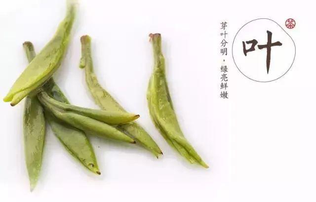 黄山毛峰是绿茶还是什么茶，黄山毛峰名山名茶名天下