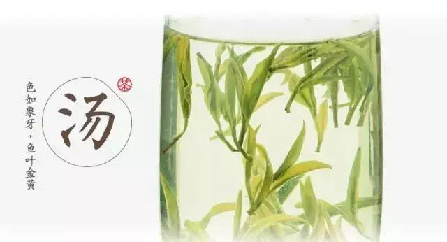 黄山毛峰是绿茶还是什么茶，黄山毛峰名山名茶名天下