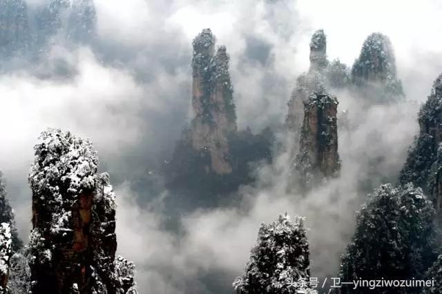 冬天张家界好玩吗，张家界冬季旅游攻略3天（张家界久违“长龙”盛况再现）
