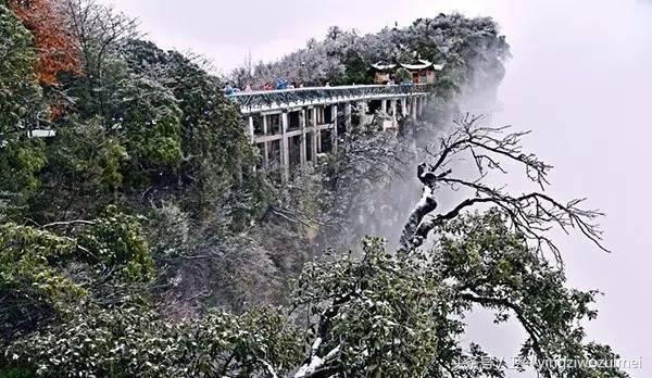 冬天张家界好玩吗，张家界冬季旅游攻略3天（张家界久违“长龙”盛况再现）