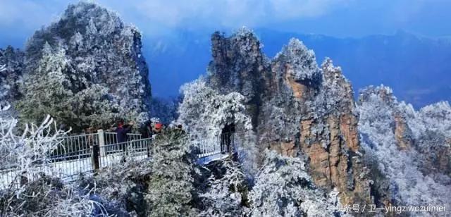 冬天张家界好玩吗，张家界冬季旅游攻略3天（张家界久违“长龙”盛况再现）
