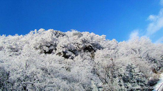 冬天张家界好玩吗，张家界冬季旅游攻略3天（张家界久违“长龙”盛况再现）
