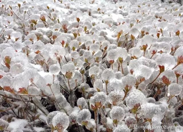 冬天张家界好玩吗，张家界冬季旅游攻略3天（张家界久违“长龙”盛况再现）
