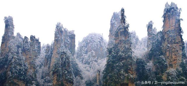 冬天张家界好玩吗，张家界冬季旅游攻略3天（张家界久违“长龙”盛况再现）