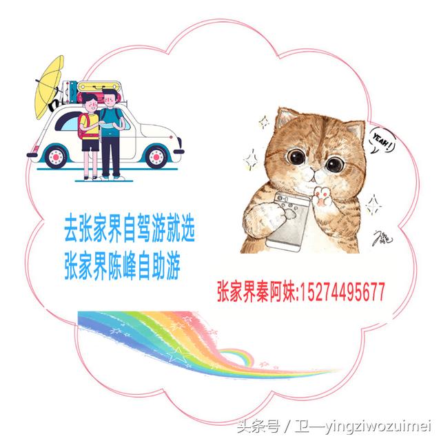 冬天张家界好玩吗，张家界冬季旅游攻略3天（张家界久违“长龙”盛况再现）