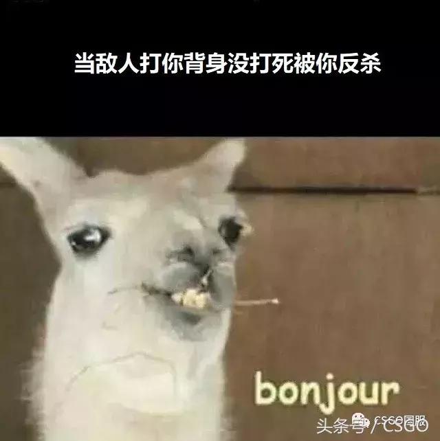 csgo表情包，csgo表情包沙雕（里约Major特别篇）