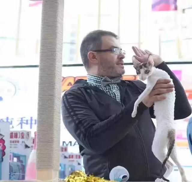 猫展，贵族猫展