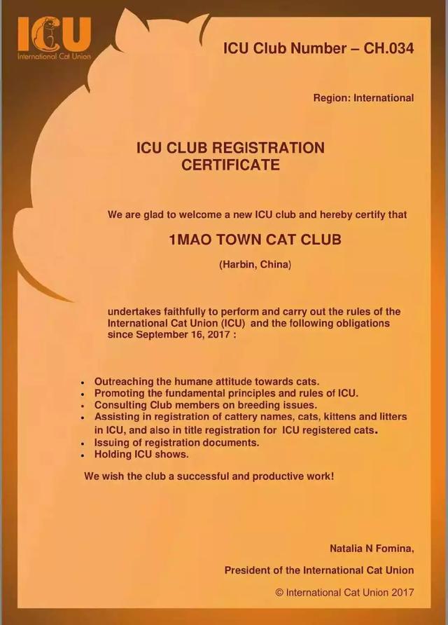 猫展，贵族猫展