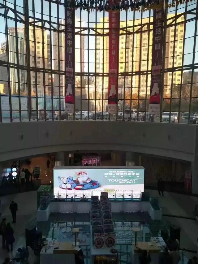 猫展，贵族猫展