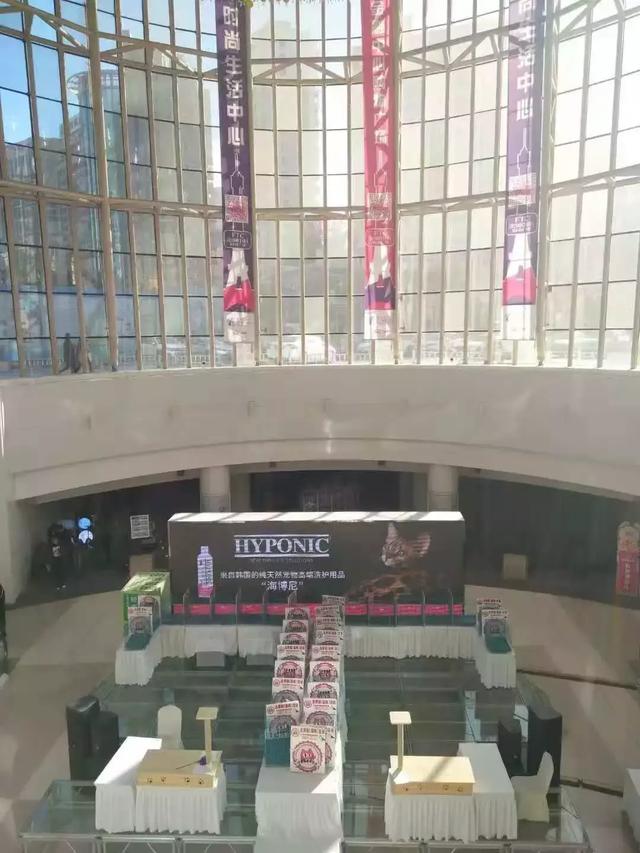 猫展，贵族猫展