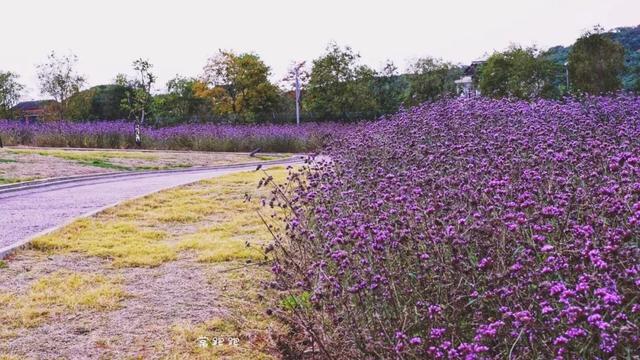 苏州山塘街攻略，苏州山塘街美食最强攻略（周末轻松苏州游）