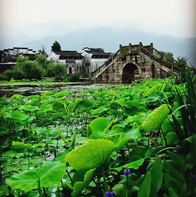 皖南黄山徽派古村落，都说黄山秋色美