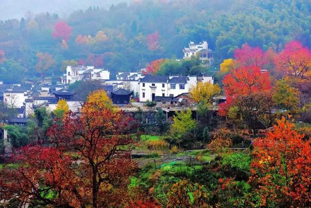 皖南黄山徽派古村落，都说黄山秋色美