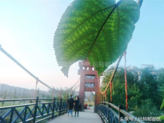 徽州最好吃的浆水鱼，藏在水乡古镇里的苗苗鱼