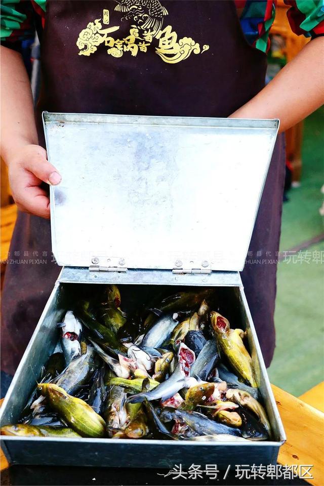 徽州最好吃的浆水鱼，藏在水乡古镇里的苗苗鱼