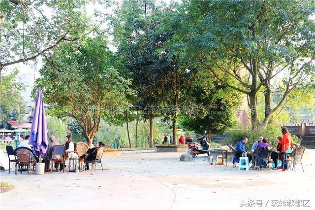 徽州最好吃的浆水鱼，藏在水乡古镇里的苗苗鱼