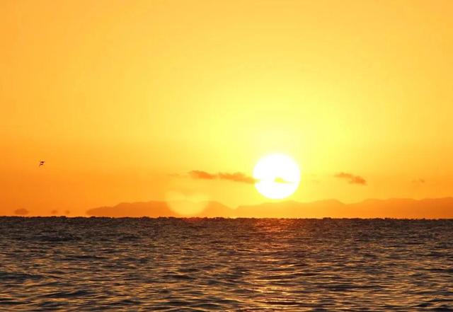 青海湖几月份看油菜花，青海湖旅游的最佳季节来了