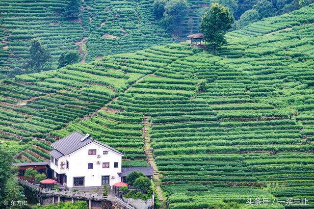 杭州西湖风景名胜区，盘点杭州西湖区有哪些一日游的免费旅游景点（杭州西湖景点攻略大全）