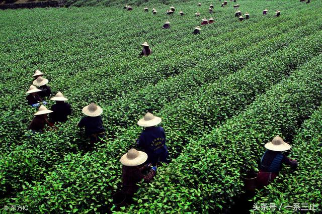 杭州西湖风景名胜区，盘点杭州西湖区有哪些一日游的免费旅游景点（杭州西湖景点攻略大全）