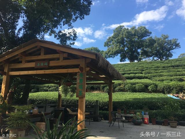 杭州西湖风景名胜区，盘点杭州西湖区有哪些一日游的免费旅游景点（杭州西湖景点攻略大全）