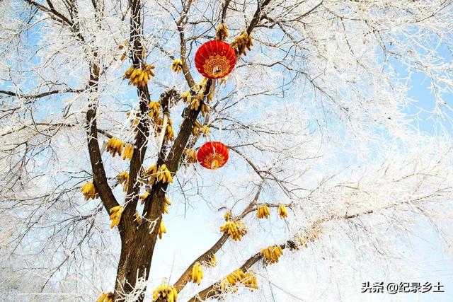 为什么立春的前一天是绝日，二十九是绝日