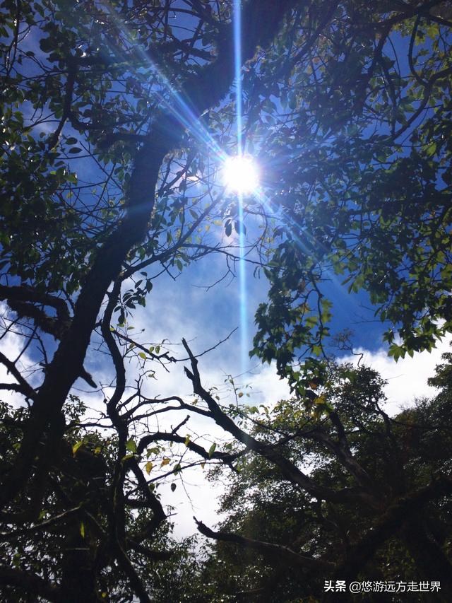 自然风光美的让人心醉，贵州梵净山自然风光