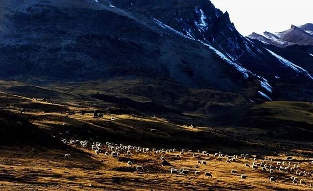山南旅游景点大全，山南旅游最美景点