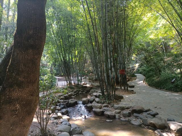 长沙市内十大公园，长沙本地人告诉你这10个地方不能少