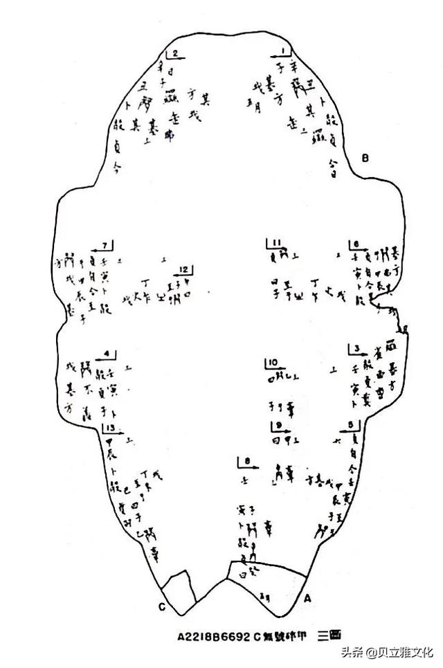 甲骨文的特点是什么，什么叫甲骨文特点（甲骨文不算书法？那算什么）