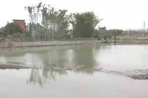 肇庆古村落排行，杨池古村是一座值得一游的古村落,出游时不妨选择