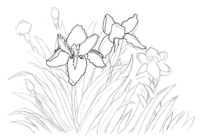 钢笔画入门基本步骤，钢笔画入门步骤详解