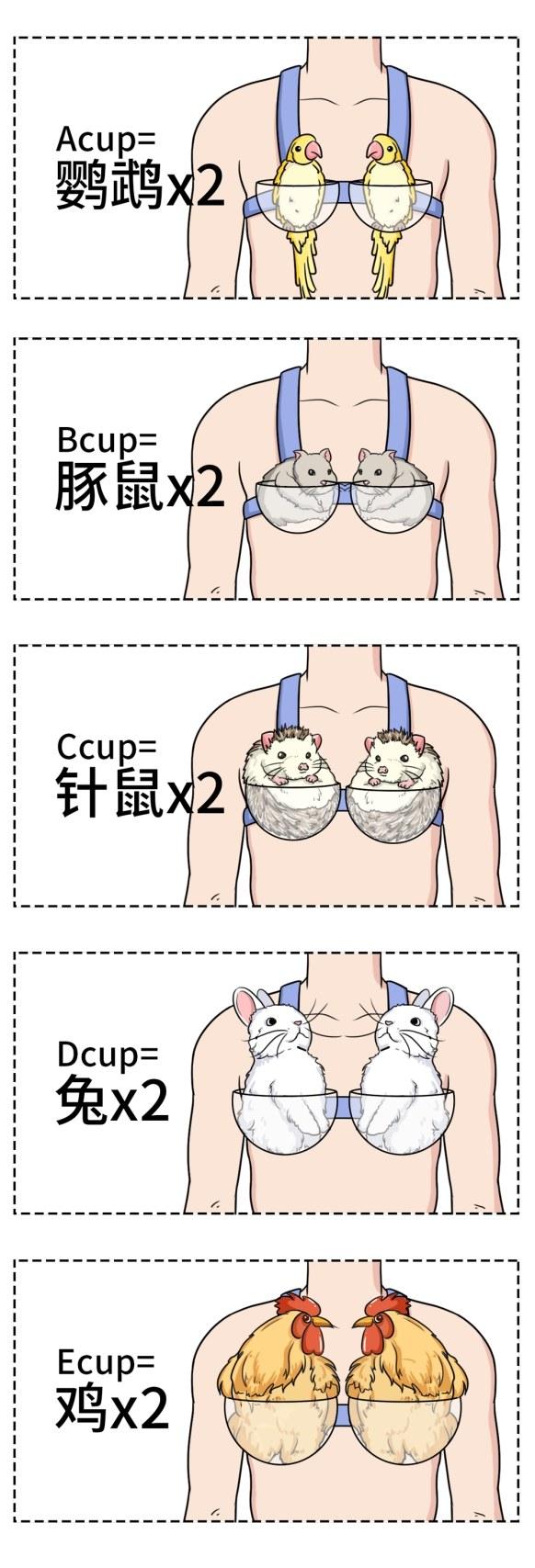 女人胸部长毛毛，有没有问题？15条女性生理知识，男女都该知道 七夕送什么礼