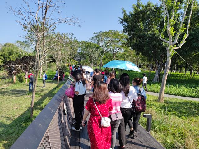广州最适合去的公园，广州十个必打卡公园<免费篇>