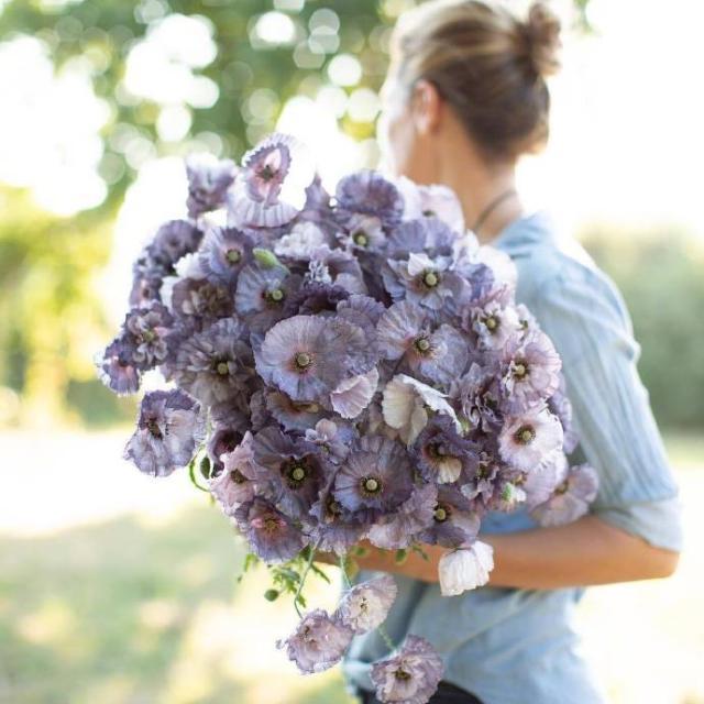 别让自己活得太累，别让自己活得太累的感言（应该学着想开、看淡）