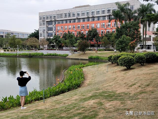 美丽大方的校园，郑州市创新实验学校金桂街校区开展“最美教室”活动