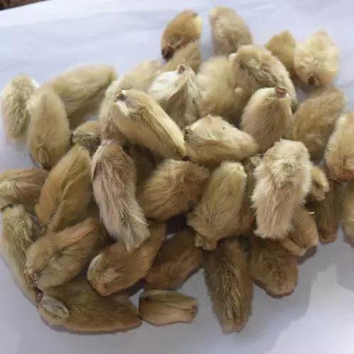 厨房最常用的香料，厨房常用香料50种