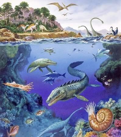 白垩纪时间轴，世界最完整琥珀古鸟被发现