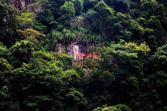 福建南平有什么旅游景点吗，福建省南平市值得游玩的旅游景点有哪些