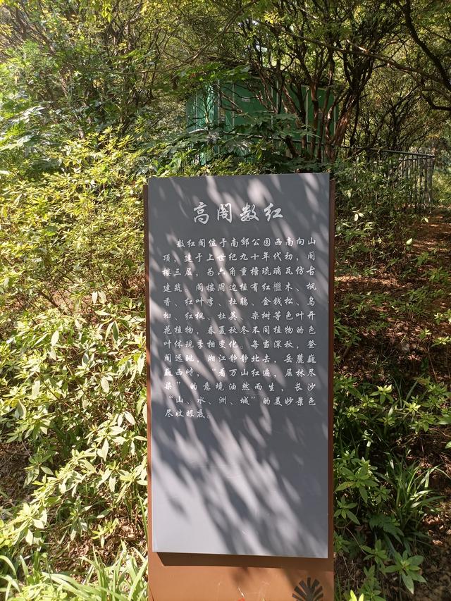 长沙市内十大公园，长沙本地人告诉你这10个地方不能少