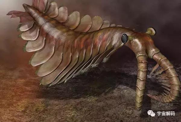 世界上最可怕的十大怪物，盘点地球史上十大巨型怪物