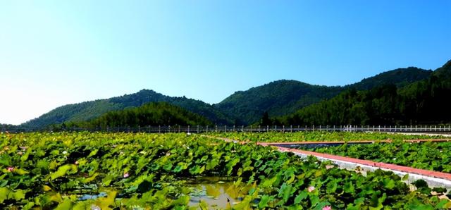 隆回旅游景点大全，隆回县景区介绍（网红打卡地隆回）