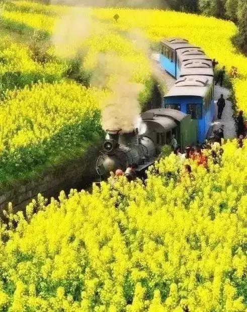 乐山最出名的古镇，乐山旅游必去十大景点推荐一下