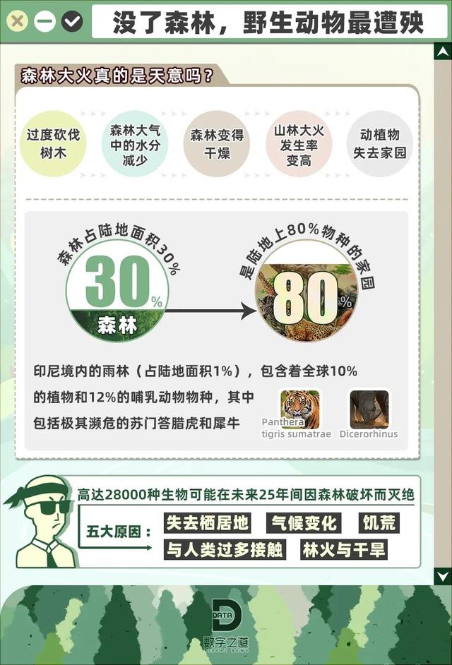 关于植树节的意义和来历，一棵树价值可达136万