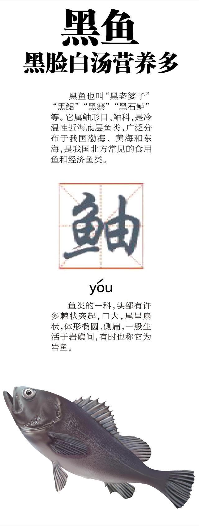 黑鱼是不是裸斑鱼，海里也有黑鱼黑鮶鱼
