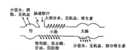 初中生物知识点，初中生物知识点归纳全套（<最全>初中生物知识点归纳汇总）